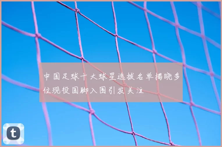 中国足球十大球星选拔名单揭晓多位现役国脚入围引发关注