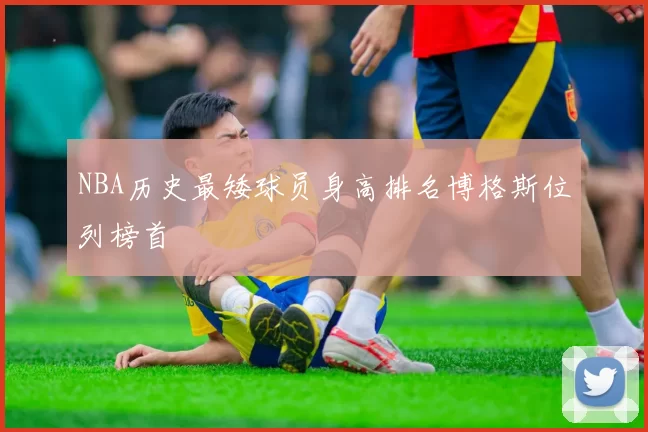 NBA历史最矮球员身高排名博格斯位列榜首