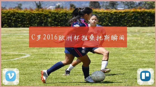C罗2016欧洲杯推桑托斯瞬间