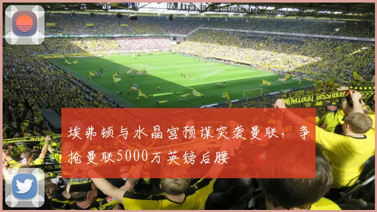 埃弗顿与水晶宫预谋突袭曼联,争抢曼联5000万英镑后腰